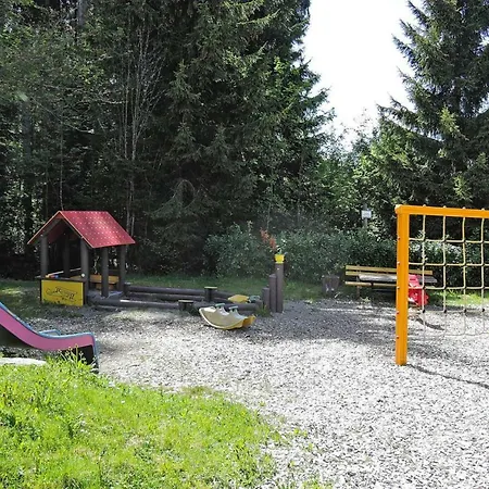 Tennenbronn Tennenbronn - Dmg10010-fyc Ferienhaus Schramberg